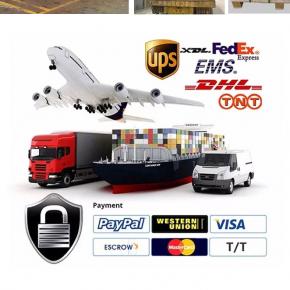 Transportation 
