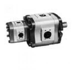 IPH series dual IP pump