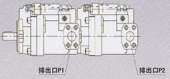 pvd Pump2.gif